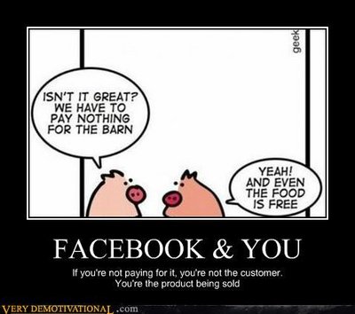 demotivational-posters-facebook-you.jpg