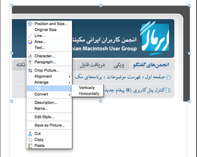 آینه‌ای کردن.png