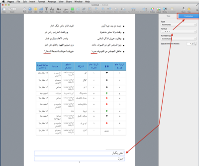 PersianFootnoteFormat.png